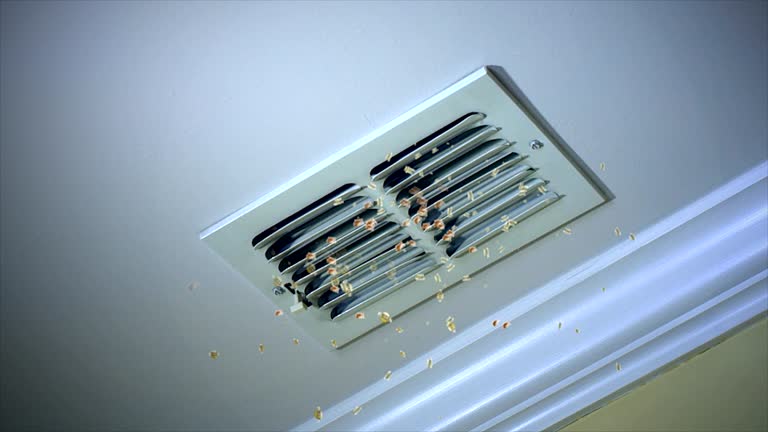 Best Ductwork Cleaning Services  in Chincoteague, VA